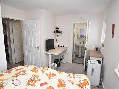 Picture 13
